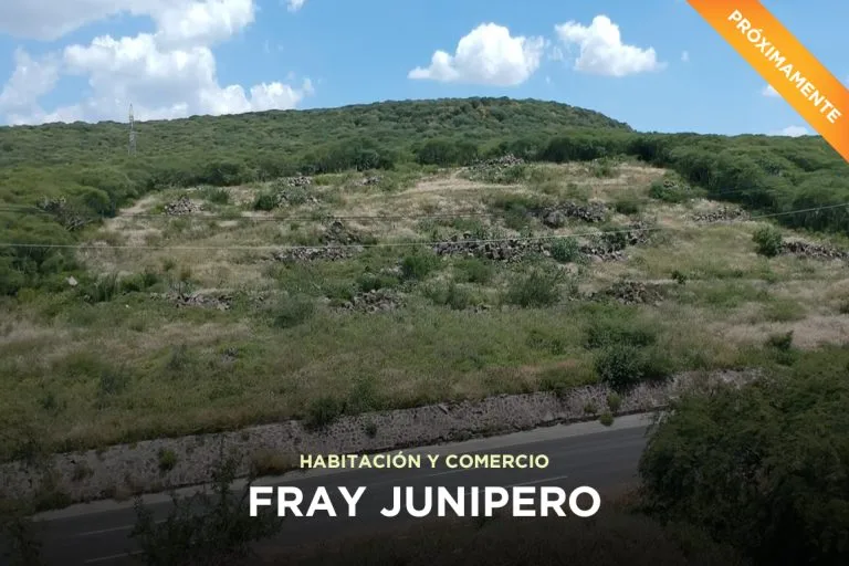 Fray Junípero