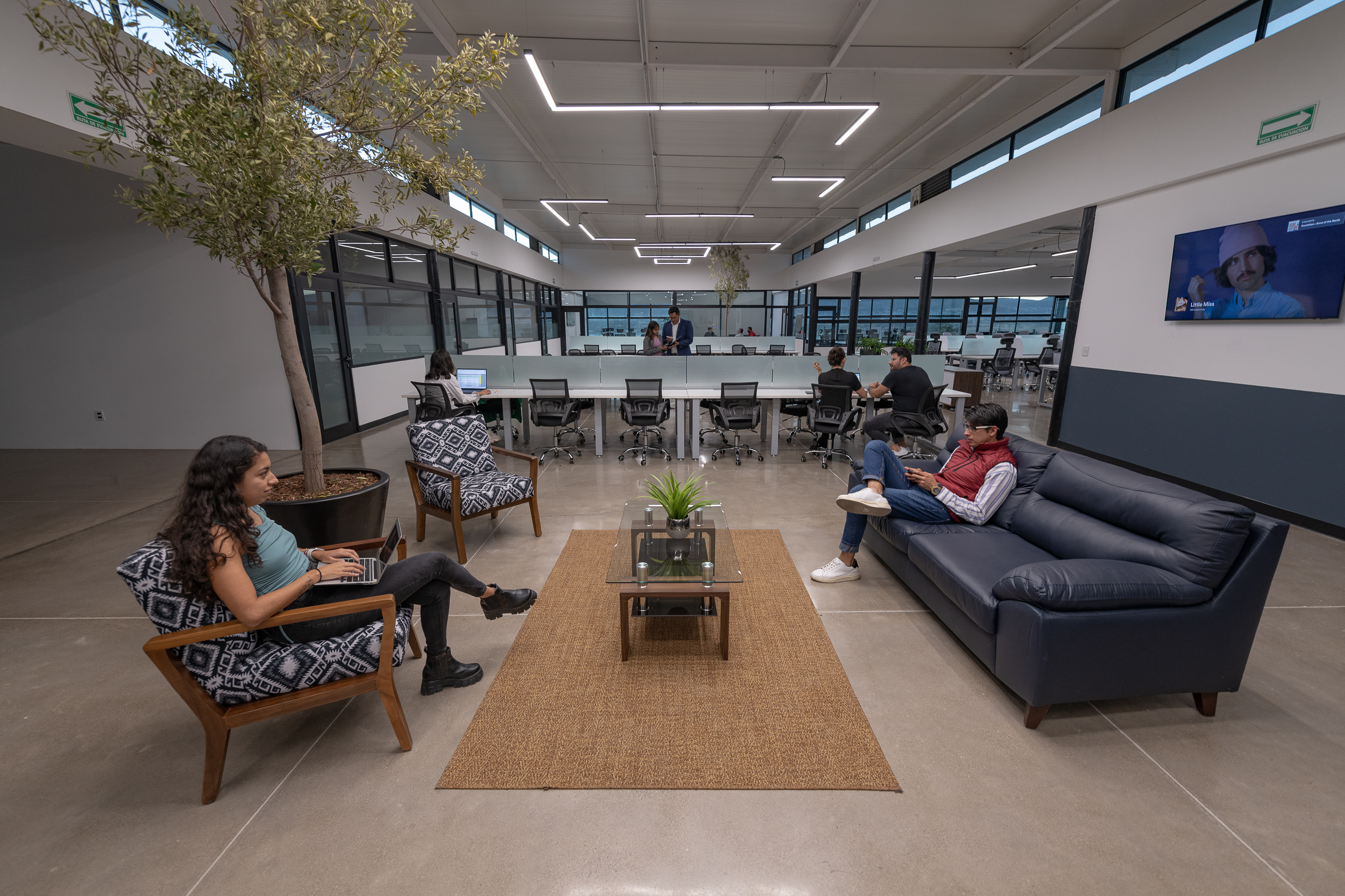 TWM Oficinas Interiores